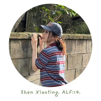 Xiaoting Xiaoting